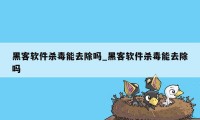 黑客软件杀毒能去除吗_黑客软件杀毒能去除吗