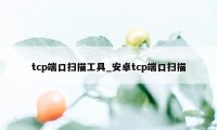 tcp端口扫描工具_安卓tcp端口扫描