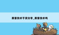 黑客技术干货分享_黑客技术鸡