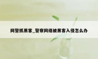 网警抓黑客_警察网络被黑客入侵怎么办