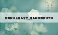 黑客技术是什么意思_什么叫黑客技术专家