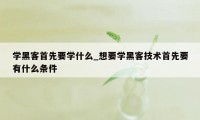 学黑客首先要学什么_想要学黑客技术首先要有什么条件