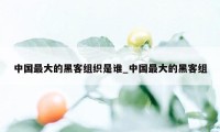 中国最大的黑客组织是谁_中国最大的黑客组