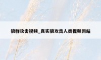 狼群攻击视频_真实狼攻击人类视频网站