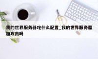 我的世界服务器吃什么配置_我的世界服务器加攻击吗