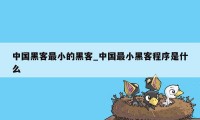 中国黑客最小的黑客_中国最小黑客程序是什么