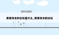 黑客技术的论坛是什么_黑客技术的论坛