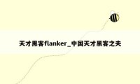 天才黑客flanker_中国天才黑客之夫