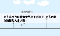 黑客攻防与网络安全从新手到高手_黑客网络攻防图片大全大图