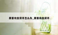 黑客攻击货币怎么办_黑客攻击货币