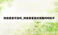 网络黑客可信吗_网络黑客真的很酷吗吗知乎