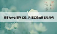 黑客为什么要学汇编_只懂汇编的黑客软件吗