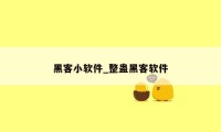 黑客小软件_整蛊黑客软件