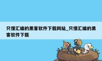 只懂汇编的黑客软件下载网站_只懂汇编的黑客软件下载