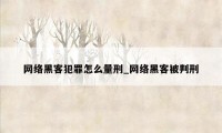 网络黑客犯罪怎么量刑_网络黑客被判刑