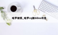 哈罗被抓_哈罗cq被ddos攻击