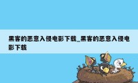 黑客的恶意入侵电影下载_黑客的恶意入侵电影下载