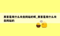 黑客是用什么攻击网站的呢_黑客是用什么攻击网站的