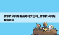 黑客技术网站有病毒吗安全吗_黑客技术网站有病毒吗