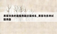 黑客攻击的是服务器还是域名_黑客攻击测试服务器