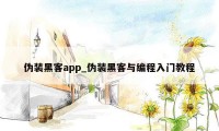 伪装黑客app_伪装黑客与编程入门教程