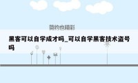 黑客可以自学成才吗_可以自学黑客技术盗号吗