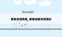 黑客渗透教程_黑客秘籍渗透测试